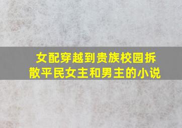 女配穿越到贵族校园拆散平民女主和男主的小说