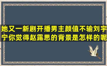 她又一新剧开播,男主颜值不输刘宇宁,你觉得赵露思的背景是怎样的呢?