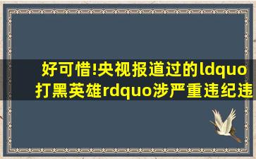 好可惜!央视报道过的“打黑英雄”涉严重违纪违法被查