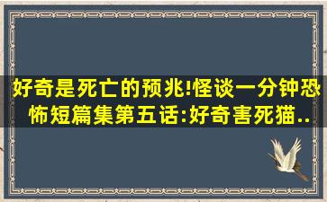 好奇是死亡的预兆!《怪谈一分钟》恐怖短篇集「第五话:好奇害死猫...