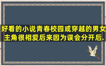 好看的小说,青春校园或穿越的。男女主角很相爱,后来因为误会分开后...