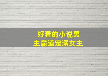 好看的小说男主霸道宠溺女主