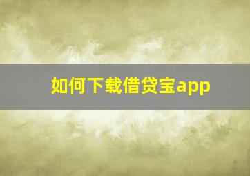 如何下载借贷宝app