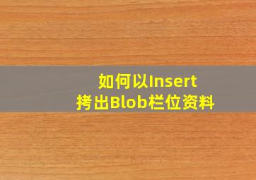 如何以Insert拷出Blob栏位资料