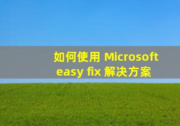 如何使用 Microsoft easy fix 解决方案