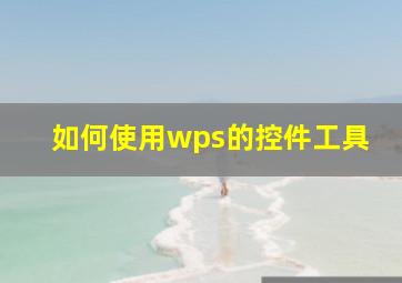 如何使用wps的控件工具