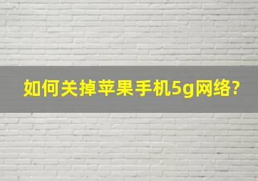 如何关掉苹果手机5g网络?