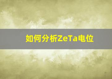 如何分析ZeTa电位(