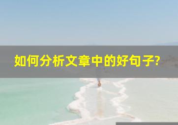 如何分析文章中的好句子?