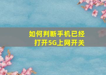 如何判断手机已经打开5G上网开关(