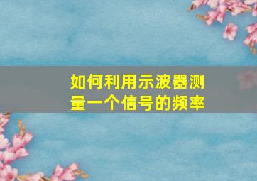 如何利用示波器测量一个信号的频率