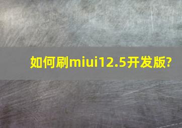 如何刷miui12.5开发版?