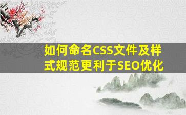 如何命名CSS文件及样式规范更利于SEO优化