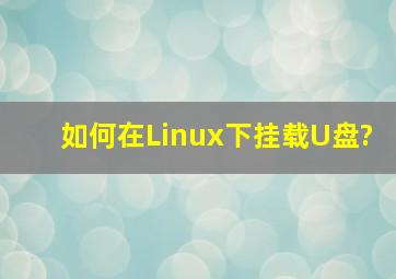 如何在Linux下挂载U盘?