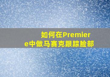 如何在Premiere中做马赛克跟踪脸部