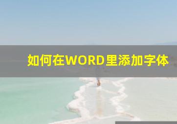 如何在WORD里添加字体