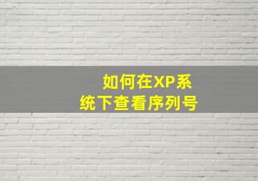 如何在XP系统下查看序列号