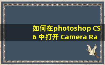 如何在photoshop CS6 中打开 Camera Raw 插件