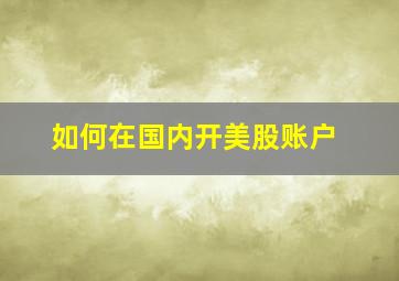 如何在国内开美股账户