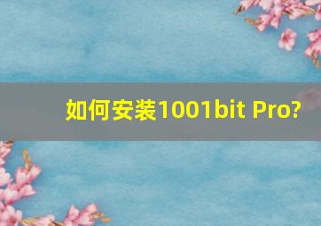 如何安装1001bit Pro?