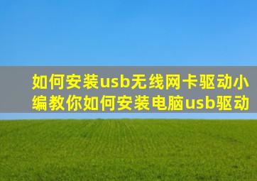 如何安装usb无线网卡驱动,小编教你如何安装电脑usb驱动