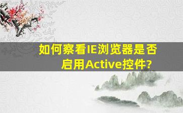 如何察看IE浏览器是否启用Active控件?