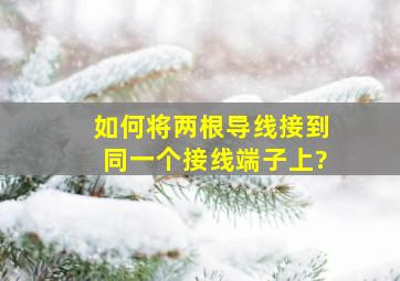 如何将两根导线接到同一个接线端子上?