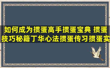 如何成为掼蛋高手掼蛋宝典 掼蛋技巧秘籍丁华心法掼蛋传习掼蛋实...