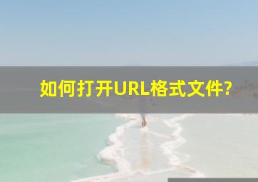 如何打开URL格式文件?