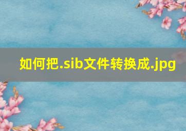 如何把.sib文件转换成.jpg