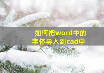 如何把word中的字体导入到cad中