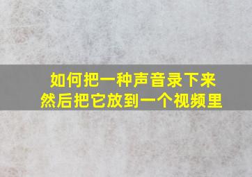 如何把一种声音录下来然后把它放到一个视频里