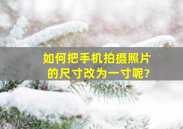 如何把手机拍摄照片的尺寸改为一寸呢?