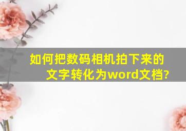 如何把数码相机拍下来的文字转化为word文档?