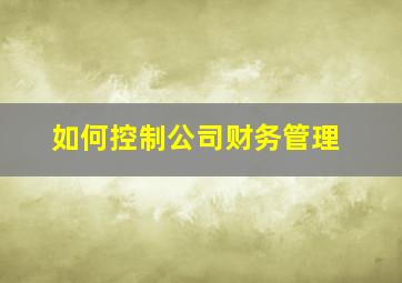 如何控制公司财务管理