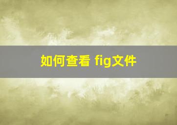 如何查看 fig文件