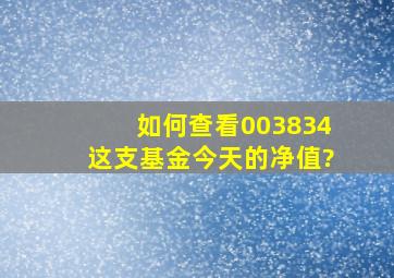 如何查看003834这支基金今天的净值?