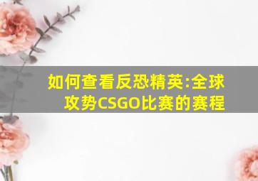 如何查看反恐精英:全球攻势CSGO比赛的赛程 