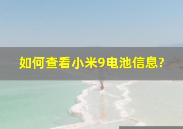 如何查看小米9电池信息?