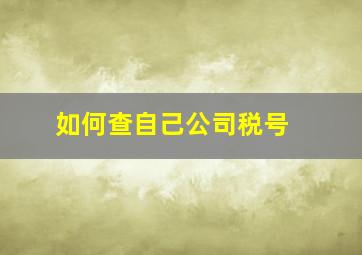 如何查自己公司税号 