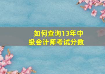 如何查询13年中级会计师考试分数