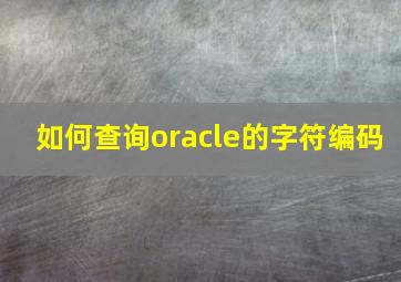 如何查询oracle的字符编码