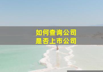 如何查询公司是否上市公司