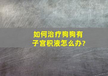 如何治疗狗狗有子宫积液怎么办?