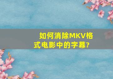 如何消除MKV格式电影中的字幕?