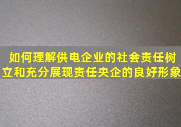 如何理解供电企业的社会责任树立和充分展现责任央企的良好形象