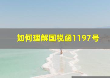 如何理解国税函1197号