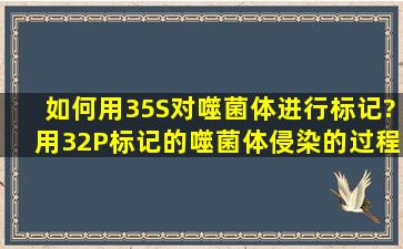 如何用35S对噬菌体进行标记?用32P标记的噬菌体侵染的过程中,上清...