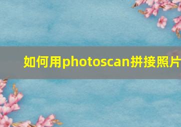 如何用photoscan拼接照片