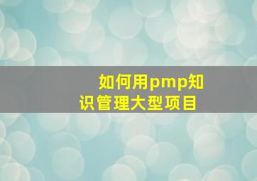如何用pmp知识管理大型项目(